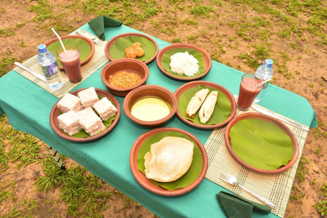 Jungle View River Camping Udawalawe Exterior photo