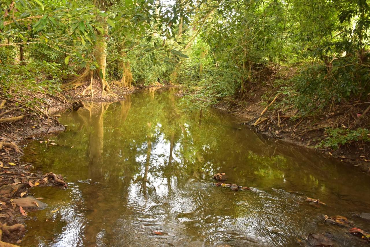 Jungle View River Camping Udawalawe Exterior photo